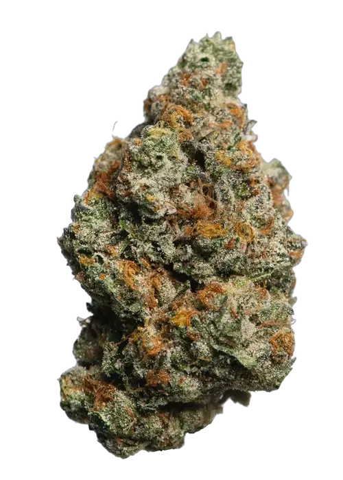 Biscotti - 3.5g