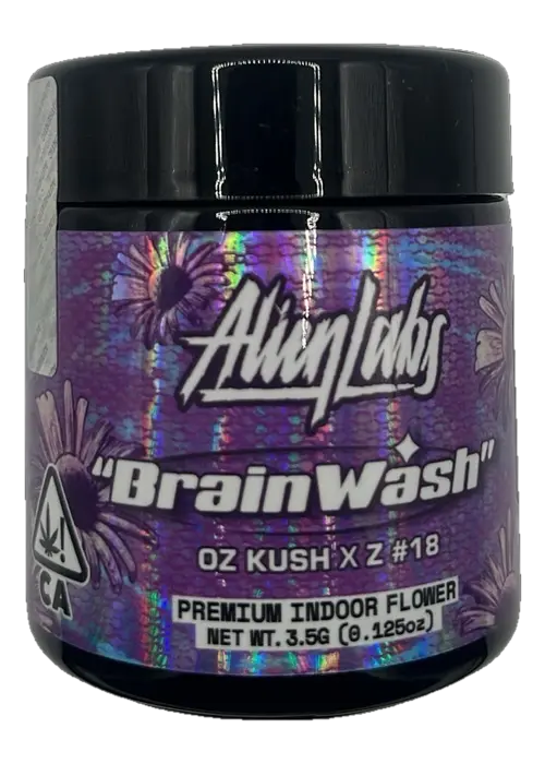 Brainwash - 3.5G