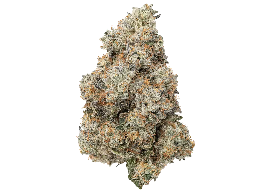 Jet fuel Gelato - 3.5G