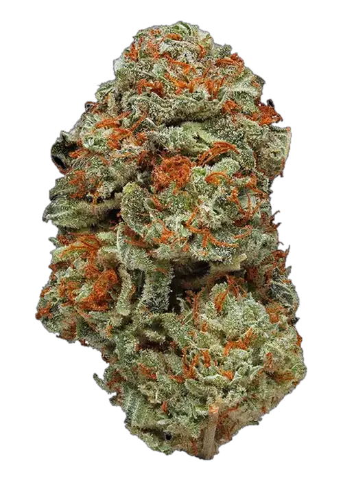 LA Confidential by Connected - 3.5G