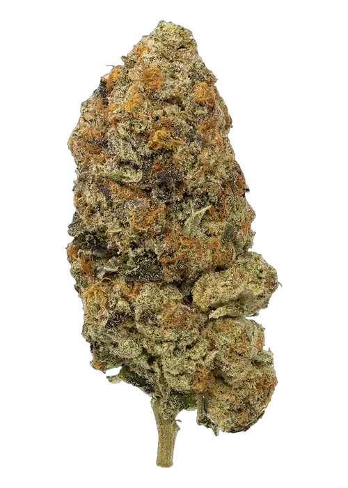 Slurricane by Connected - 3.5G