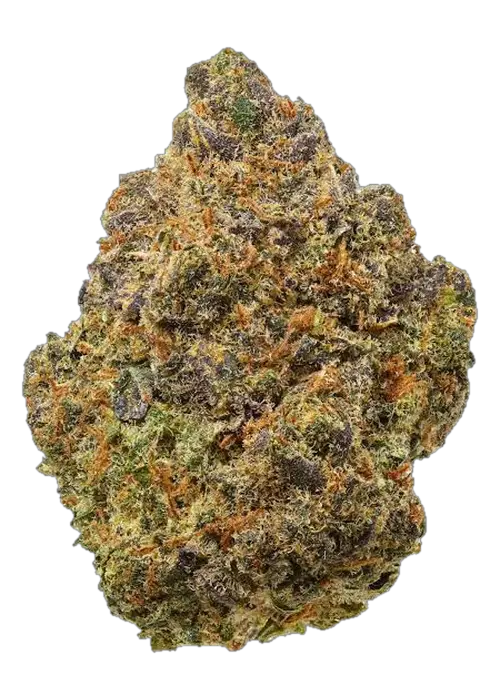 UK Exotic: Z tree - 3.5G